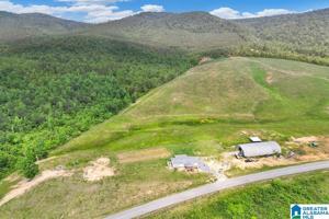 11791 SHOAL CREEK ROAD