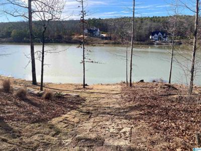 917 SOUTHLEDGE TRACE