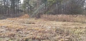 Lot 4 CO RD 204