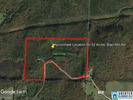 300 BLAIR MOUNTAIN RD