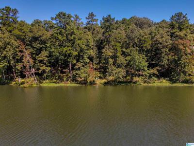 Lot A2 COVE DRIVE