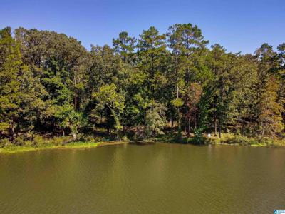 Lot A3 COVE DRIVE
