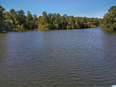 Lot A4 COVE DRIVE