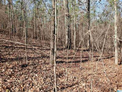 Lot 8 CREEKVIEW ROAD