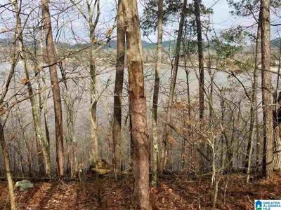 Lot 2 WALDROP ROAD