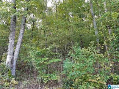 Lot 5 & 6 WALDROP ROAD