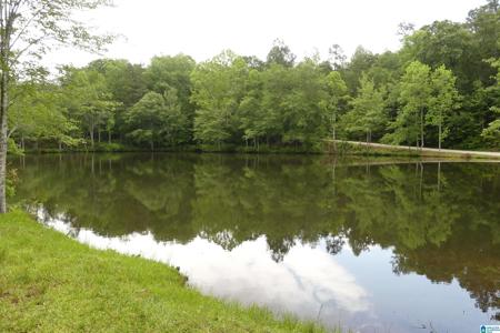 Lot 7 WOODGATE SHORES DRIVE