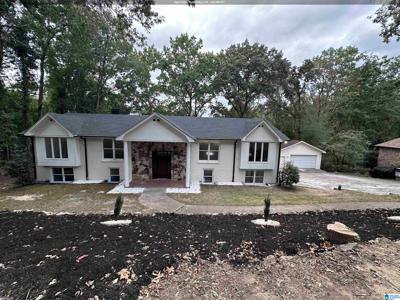 2010 ROCK MOUNTAIN DRIVE