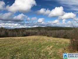 Lot 80 Acres CO RD 1