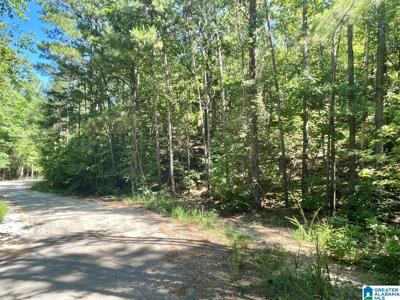 COUNTY ROAD 9901