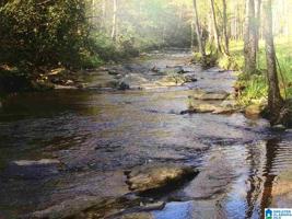 30+/- Acres COUNTY ROAD 269