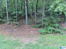 157 HIGHLAND VIEW DRIVE