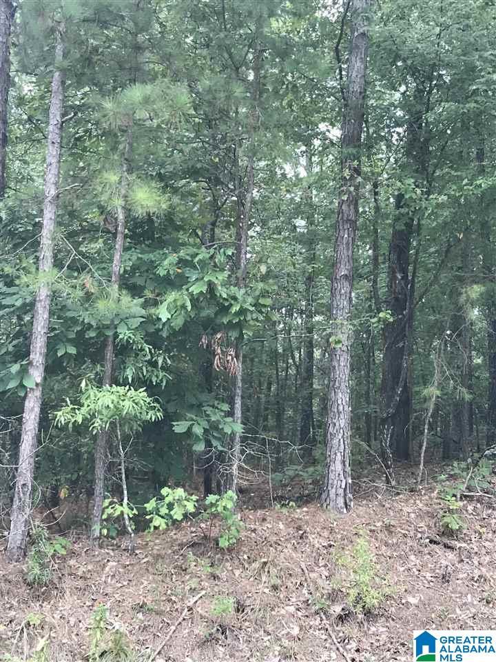 Image 1: Image 1