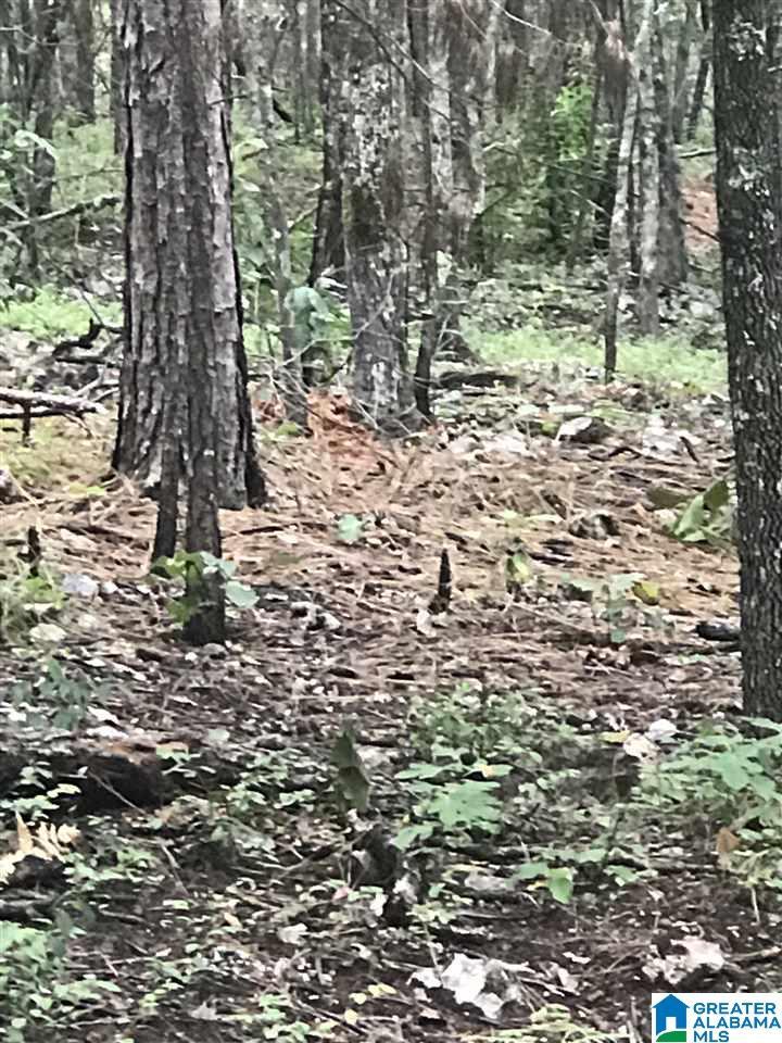 Image 1: Image 1