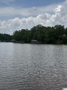 Lot 5 OLD HIGHWAY 431