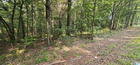 FUNDERBURG BEND ROAD