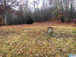 1000 THREE CEDARS RD