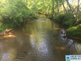 Lot 57 acres BLAIR MOUNTAIN RD
