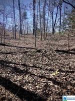 9 ACRES COUNTY ROAD 892