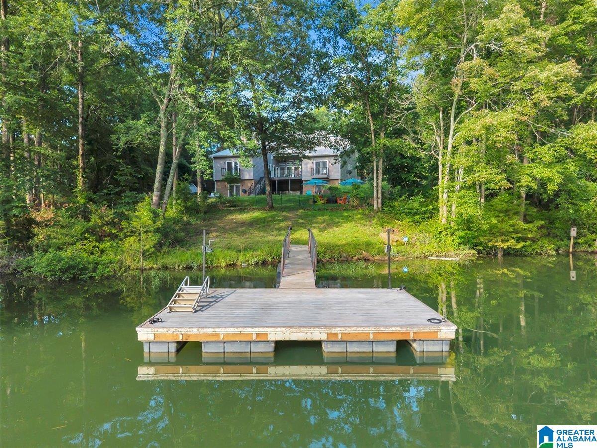 Image 1: Dock