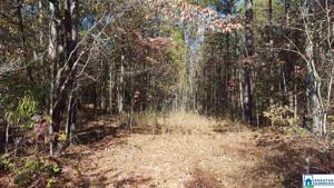 Lot 2 CO RD 4315