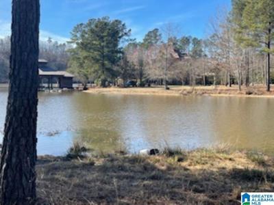 89 GOLDEN POND ROAD