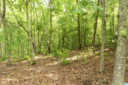 Lot 36 GINHOUSE POINT