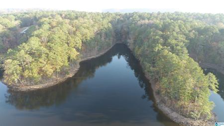 3 COUNTY ROAD 804