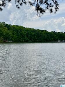 Lot 3 OLD HIGHWAY 431