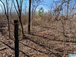 Lot 10 Acres CO RD 266