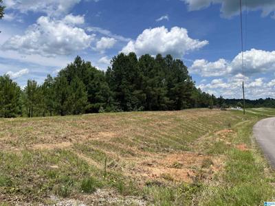 0 COUNTY ROAD 367