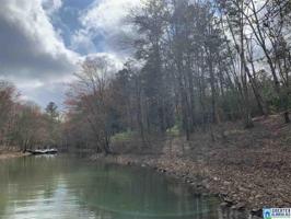Lot 156-157 STONEY POINT LANDING