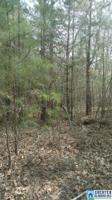 Lot # 1 LAKESHORE LOOP