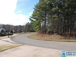 Lot 1 WRIGHT DR