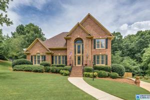 817 PARK VIEW CIR