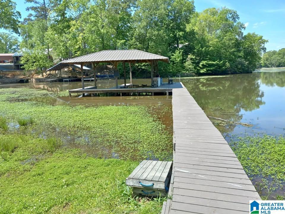 Image 3: Dock