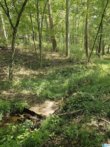 3447 COUNTY ROAD 82