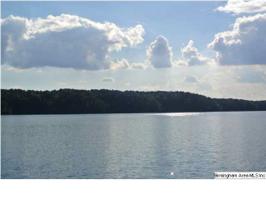 Lot 31 CO RD 897