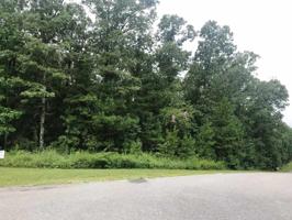 WRIGHT WAY DR