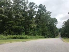 RALPH BOYD DR