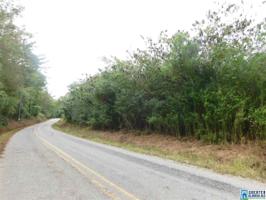 CO RD 310