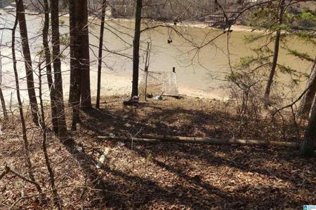 3.58 ACRES COUNTY ROAD 272