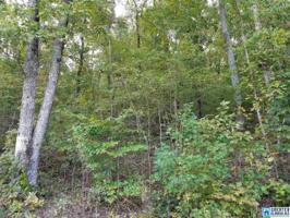Lot 5 WALDROP RD