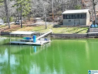 272 COUNTY ROAD 874