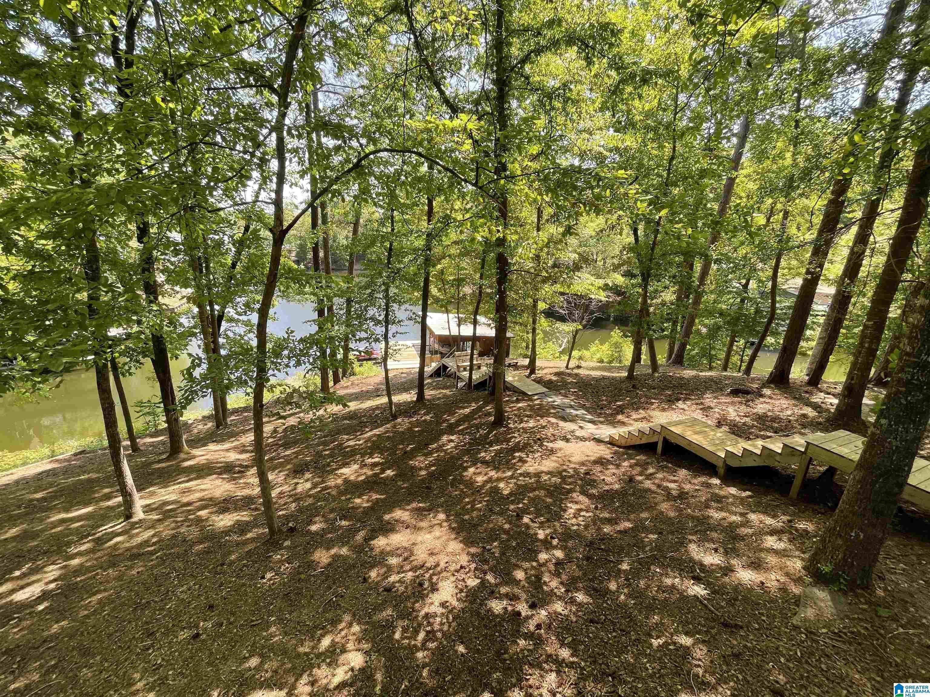 Image 3: Bring Your Hammock