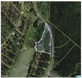 Lot 38 PAINT CREEK OVERLOOK
