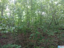 Lot 2 COUNTY ROAD 6