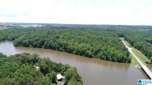 Lot 50.35 ACRES OLD HIGHWAY 431