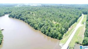Lot 95.88 ACRES OLD HIGHWAY 431