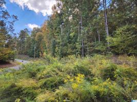 Lot 6.1 acres W LAKESHORE DRIVE